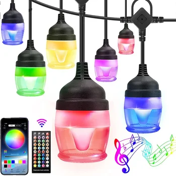 12 лампочек Smart App Управляемый глобус Волшебные гирлянды На открытом воздухе RGB Музыка с регулируемой яркостью Синхронизация музыки Висячий патио Гирлянды